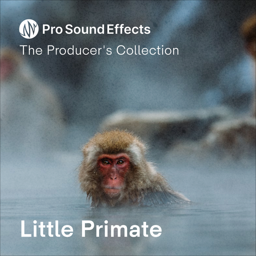 Little Primate