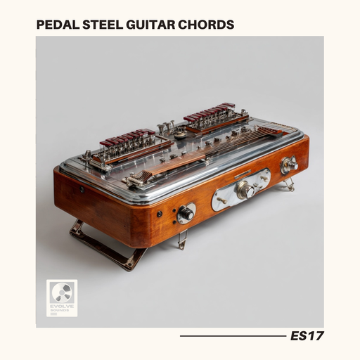 Pedal Steel Guitar Chords