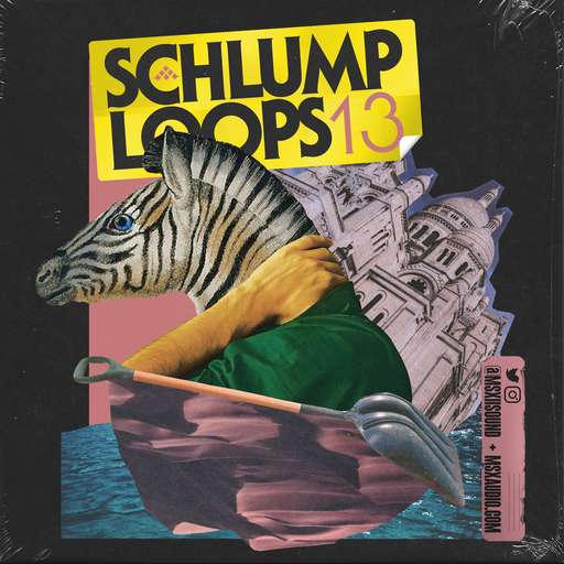 Schlump Loops 13