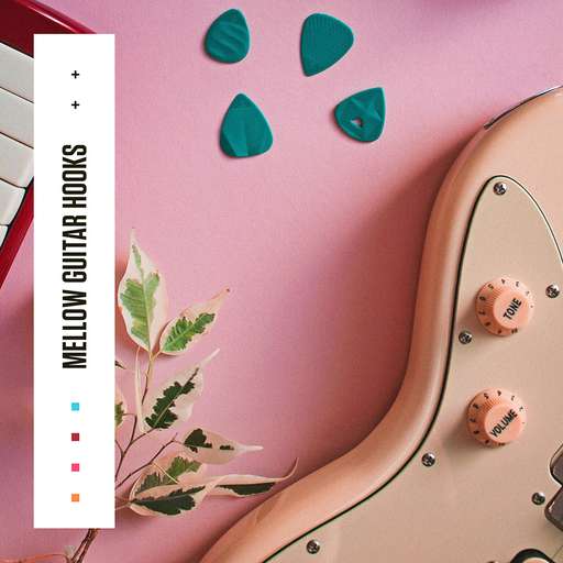 Mellow Guitar Hooks