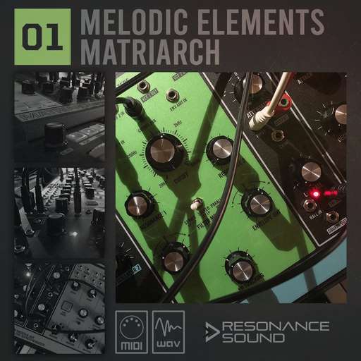 Melodic Elements 01 Matriarch