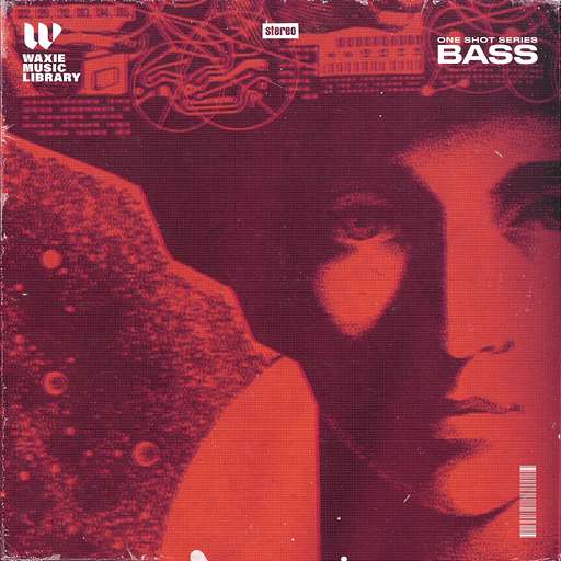 One Shot Series Bass