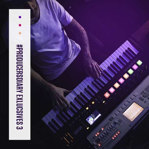 Producers Diary Exclusives Vol 3