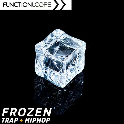 Frozen - Trap Hip Hop