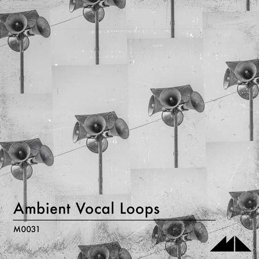 Ambient Vocal Loops