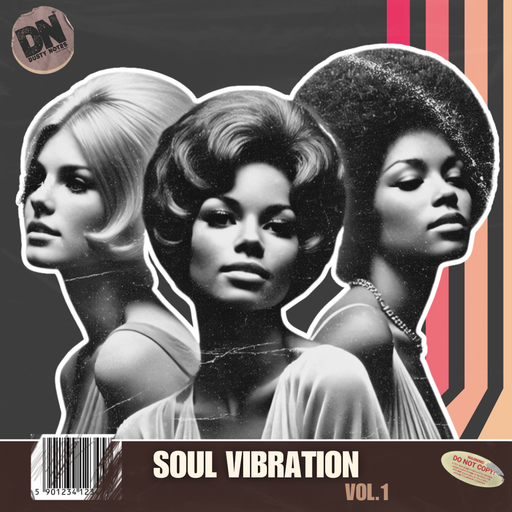 Soul Vibration Vol.1