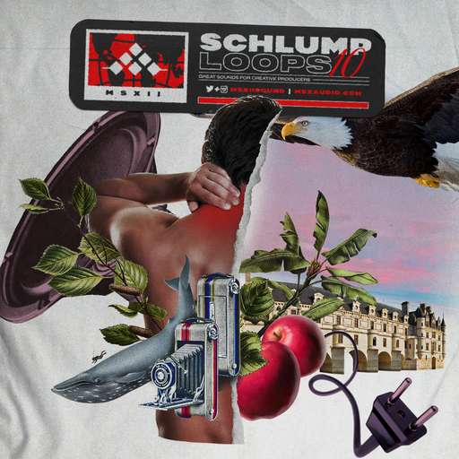 Schlump Loops 10