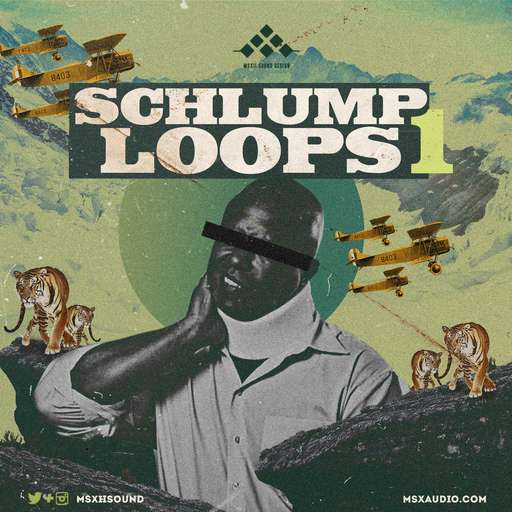 Schlump Loops 1