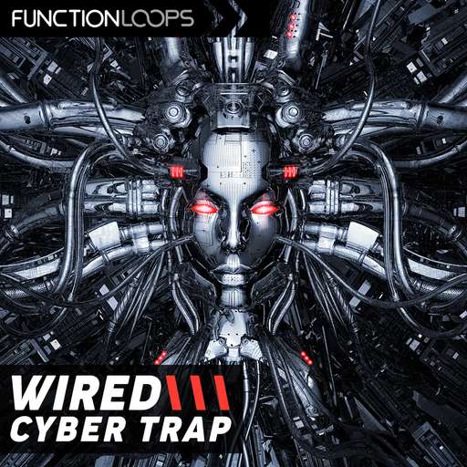 Wired Cyber Trap